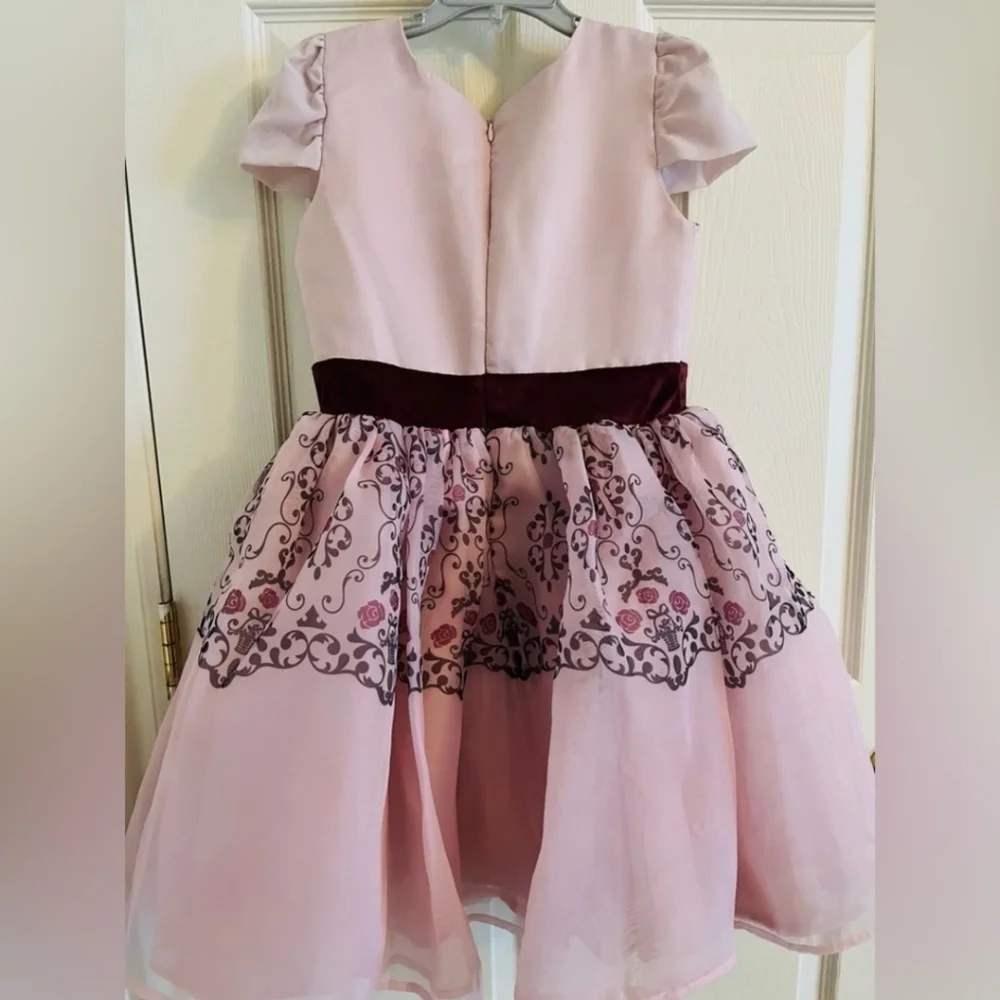 Aurora Sleeping Beauty Inspired Dress ADAPTIVE - Special Needs Siz 6
